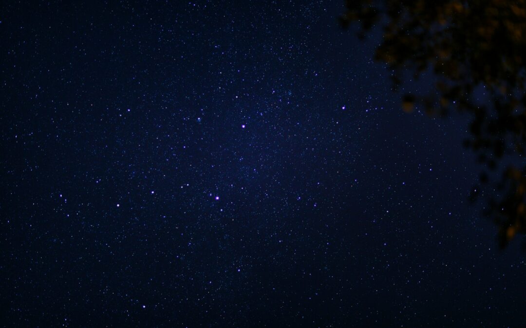 Dark Skies on the River: Stargazing on Rafting Trips